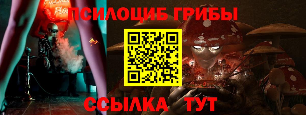 Дятьково  Псилоцибиновые грибы MAGIC MUSHROOMS  закладки  Галлюциногенные грибы Magic Shrooms  Вход с VPN 